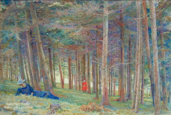 The Huntly Lodge Woods in Summer